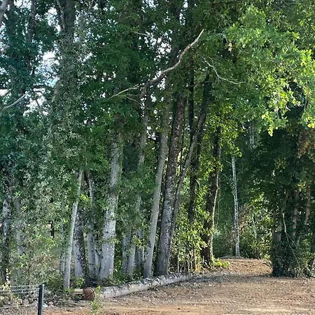 Environnement Forestier Guest house Germaine