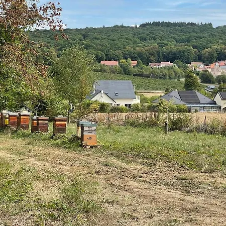 Guest house Environnement Forestier *