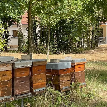 Environnement Forestier *